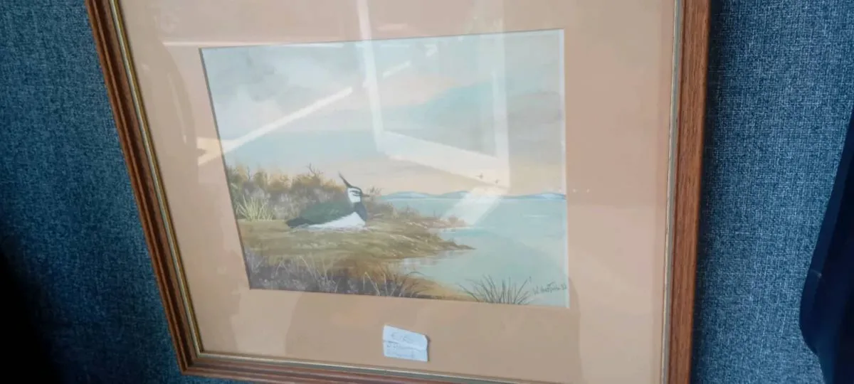 Original William Houston Bird Watercolour - Image 1