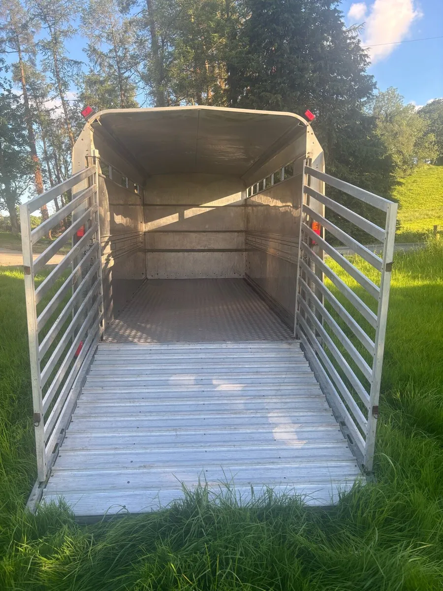 14ft Ifor Williams Cattle Trailer - Image 4