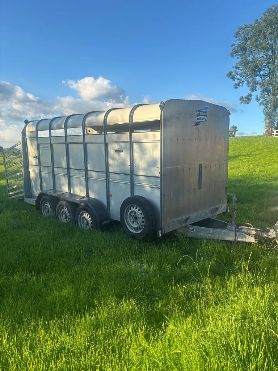 14ft Ifor Williams Cattle Trailer - Image 1