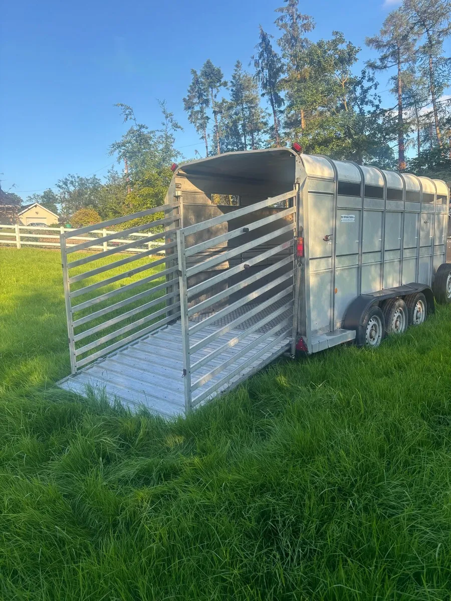 14ft Ifor Williams Cattle Trailer - Image 2