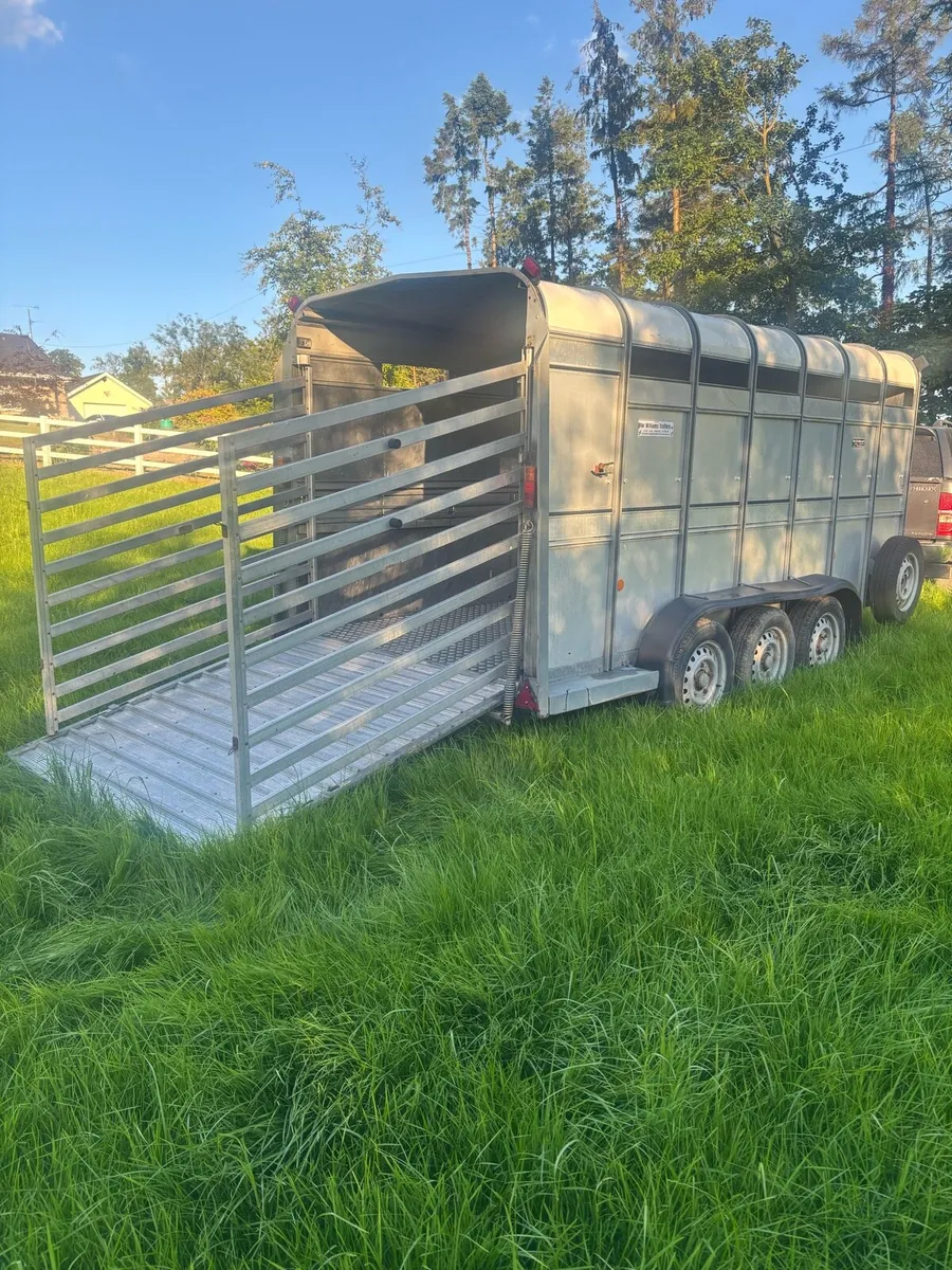 14ft Ifor Williams Cattle Trailer - Image 3