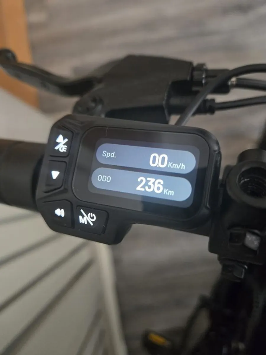 Fiido D3 Pro Mini Electric Bicycle - Image 2