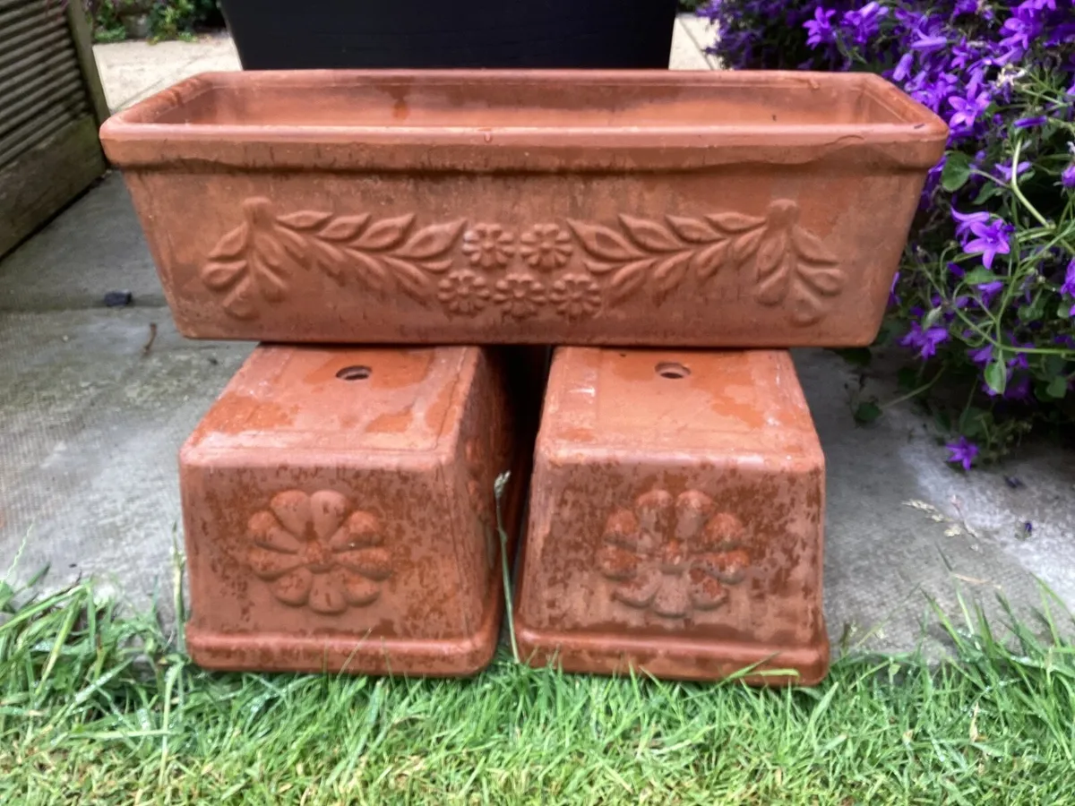 Window Boxes x e