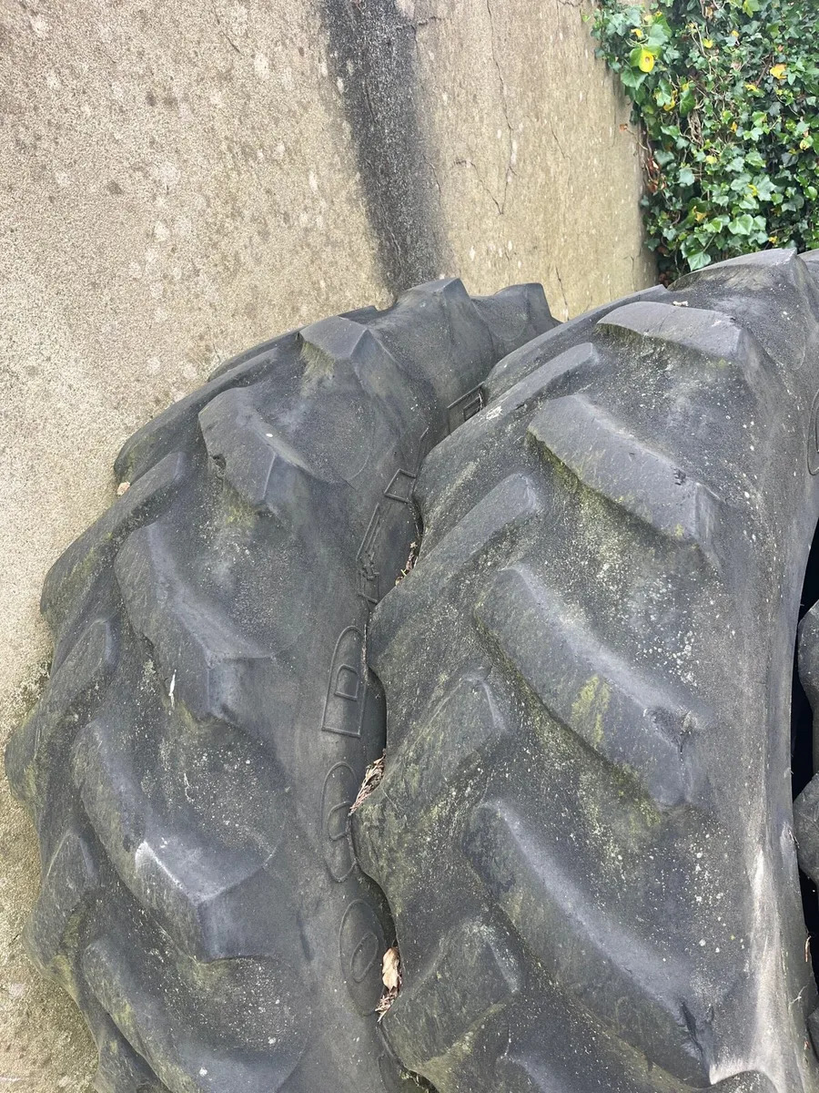 Massey 165 tire an rims - Image 3