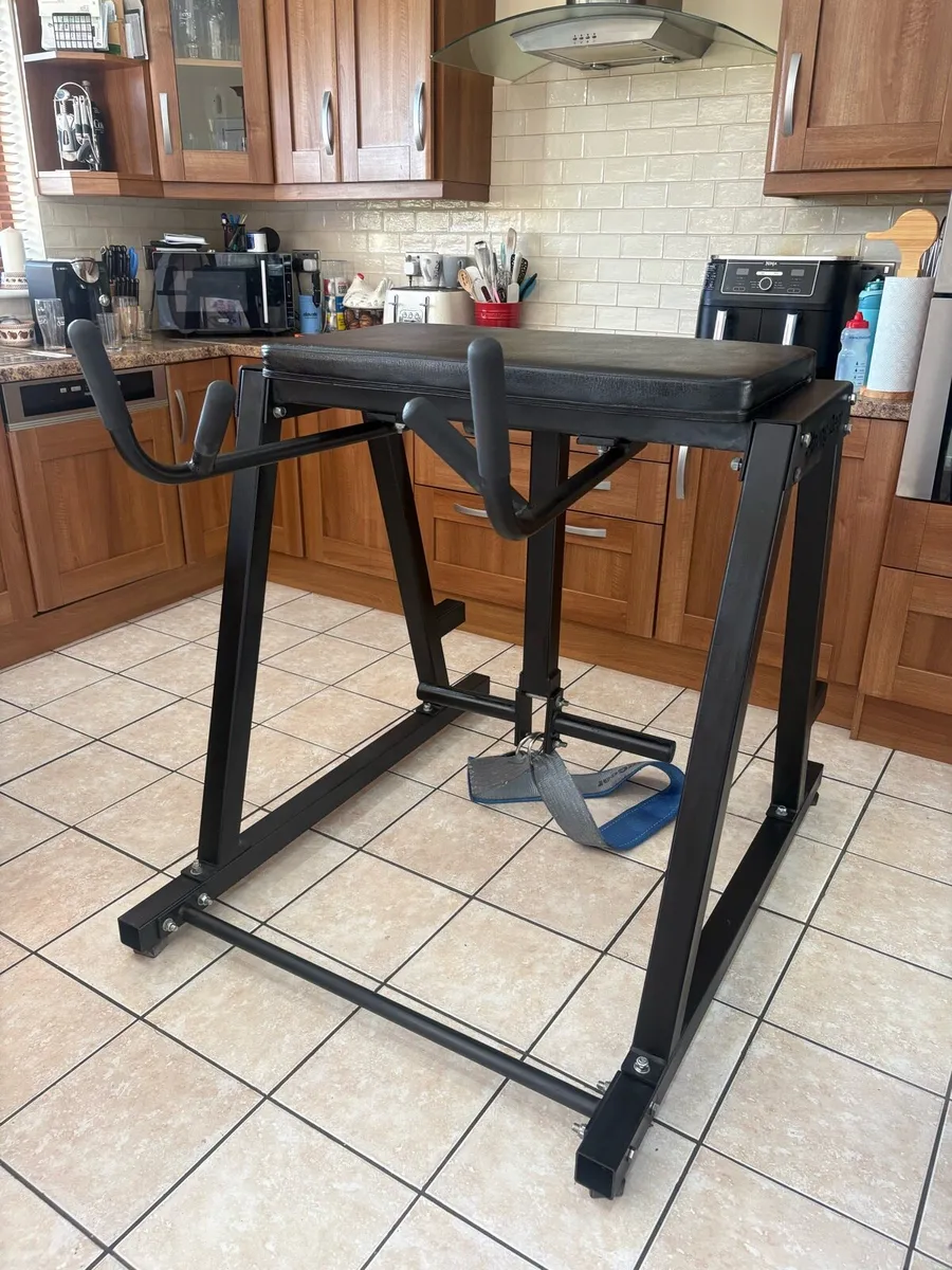 FULL COMMERCIAL GYM REVERSE HYPER, LARGE MACHINE!! - Image 1