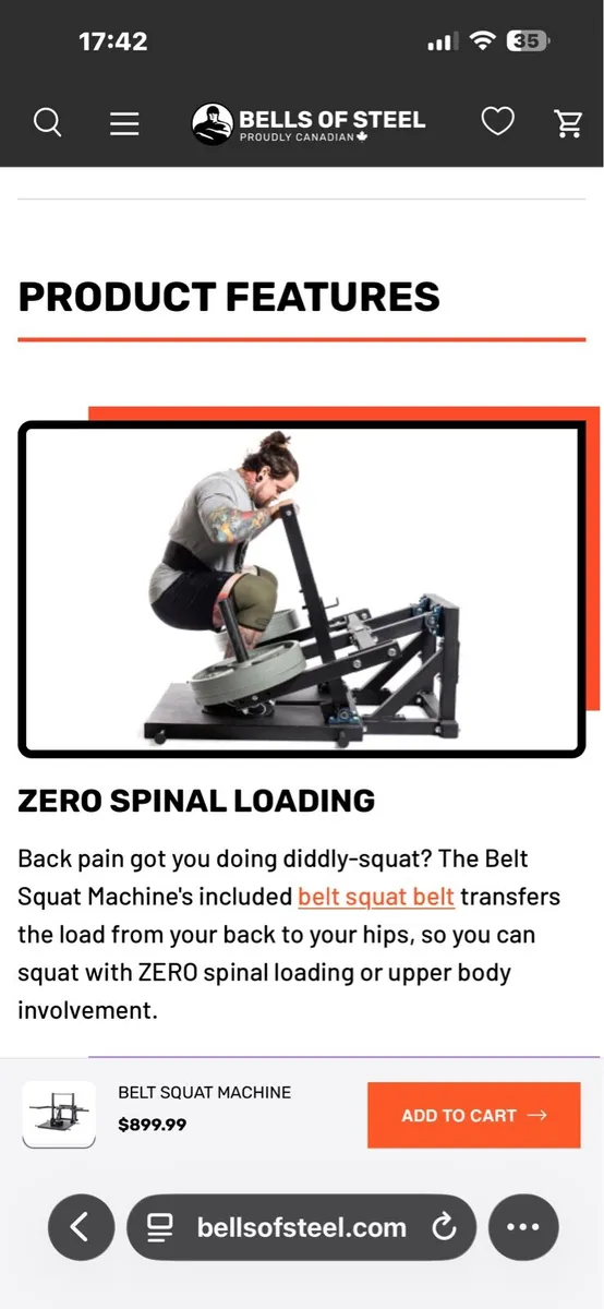 FULL COMMERCIAL BELLS OF STEEL GYM BELT SQUAT!! - Image 2