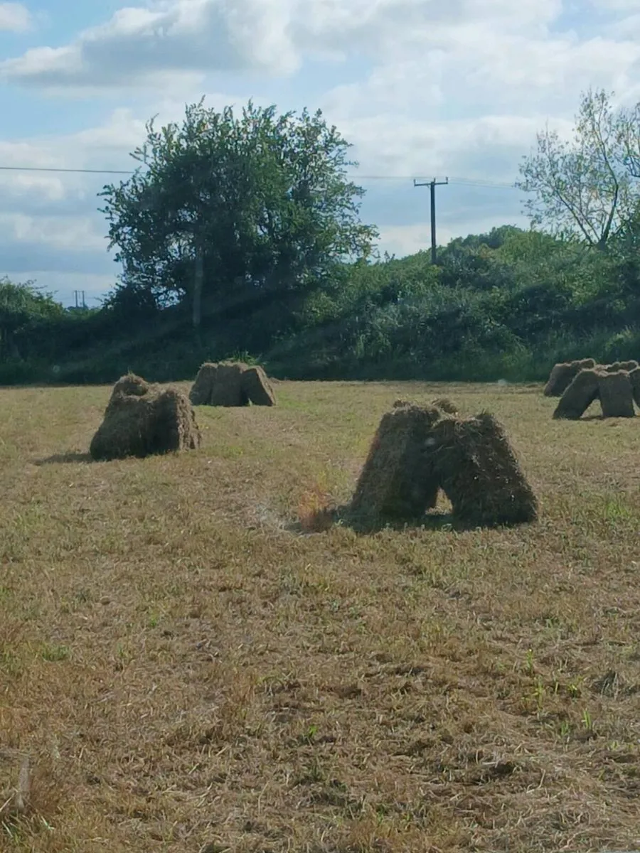 Hay Bales - Image 2