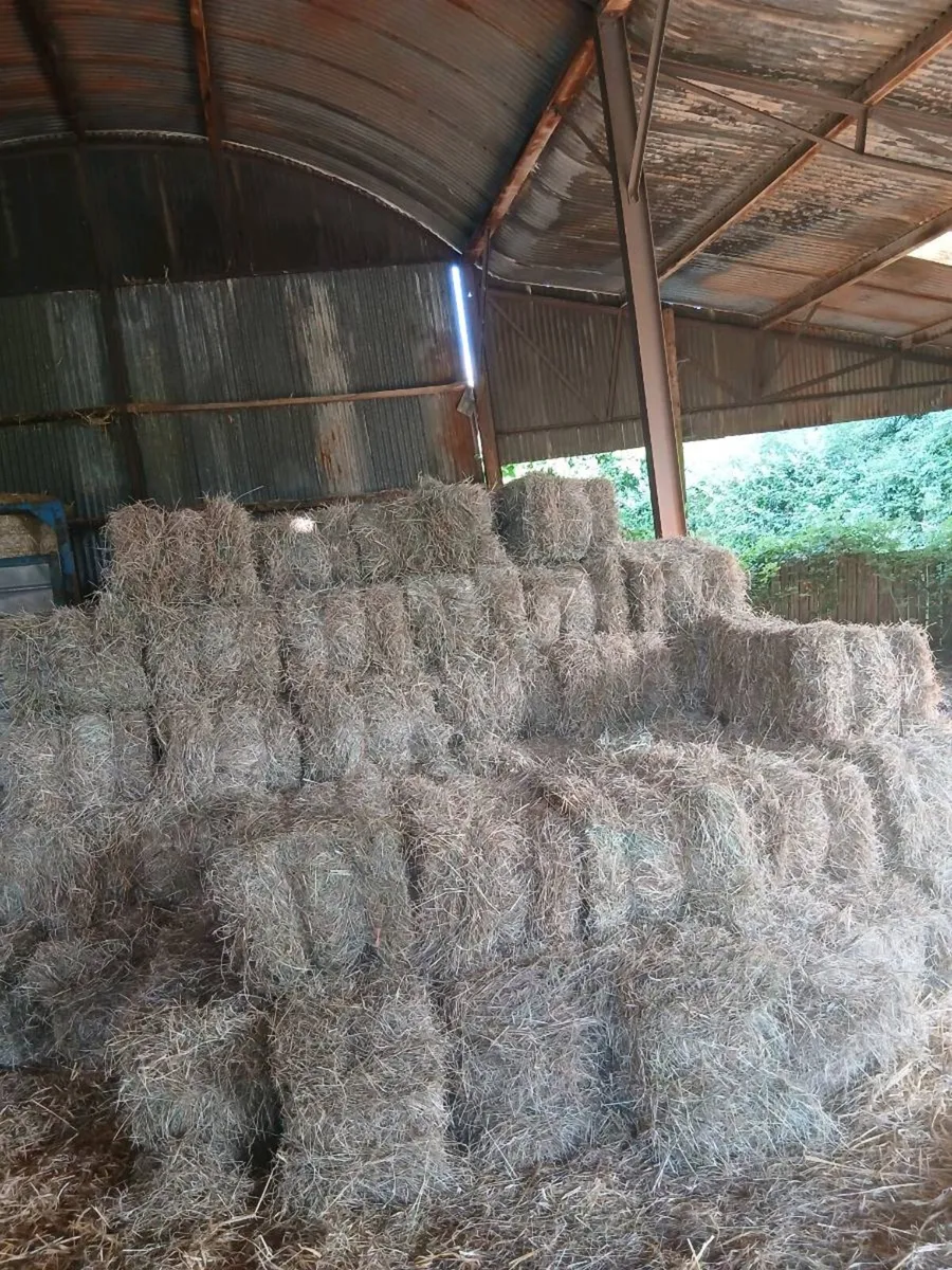 Hay Bales - Image 1