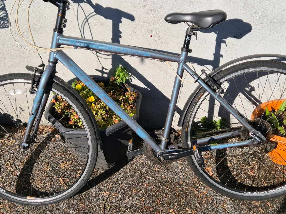 Bike - Image 1