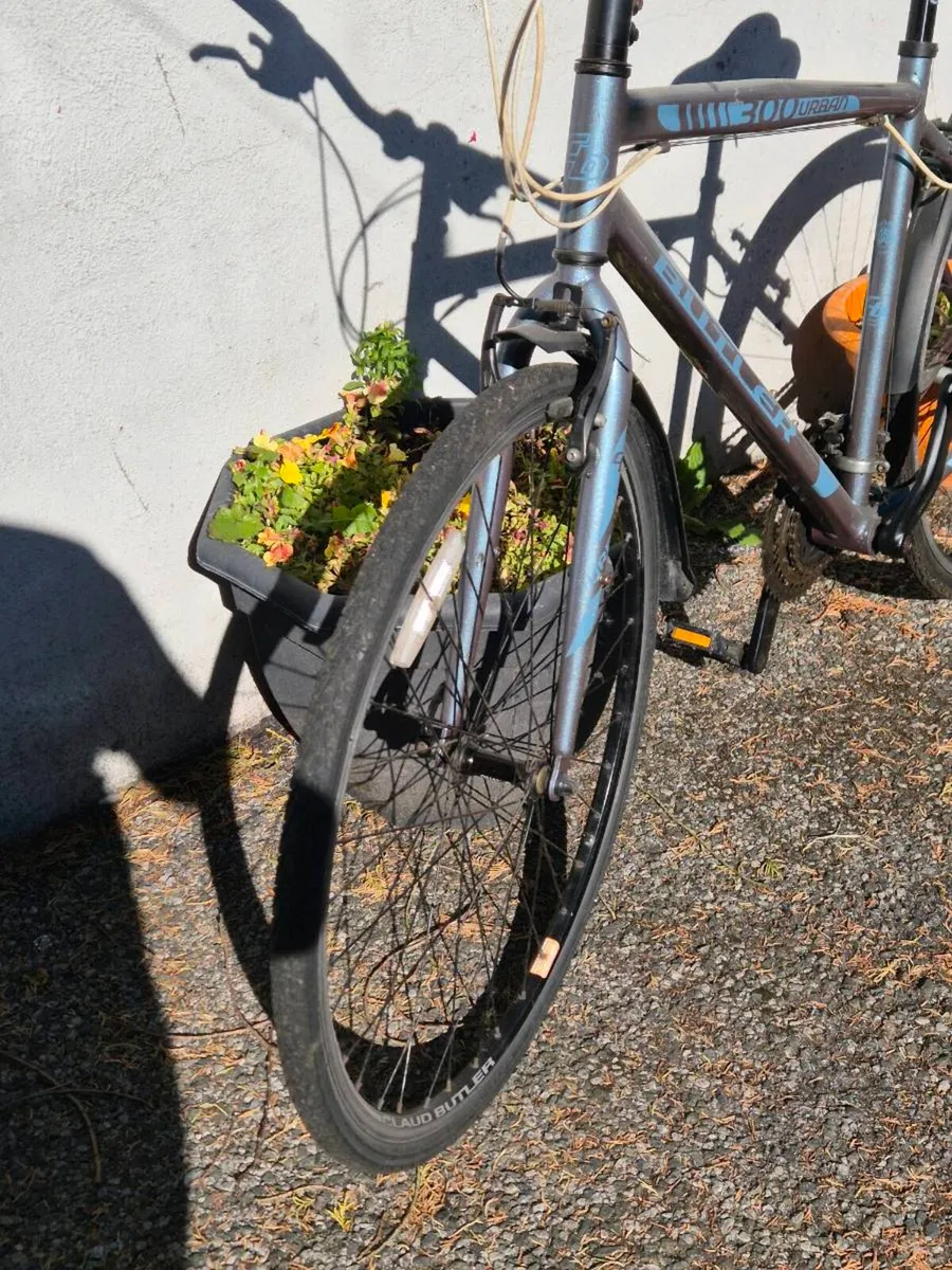 Bike - Image 3
