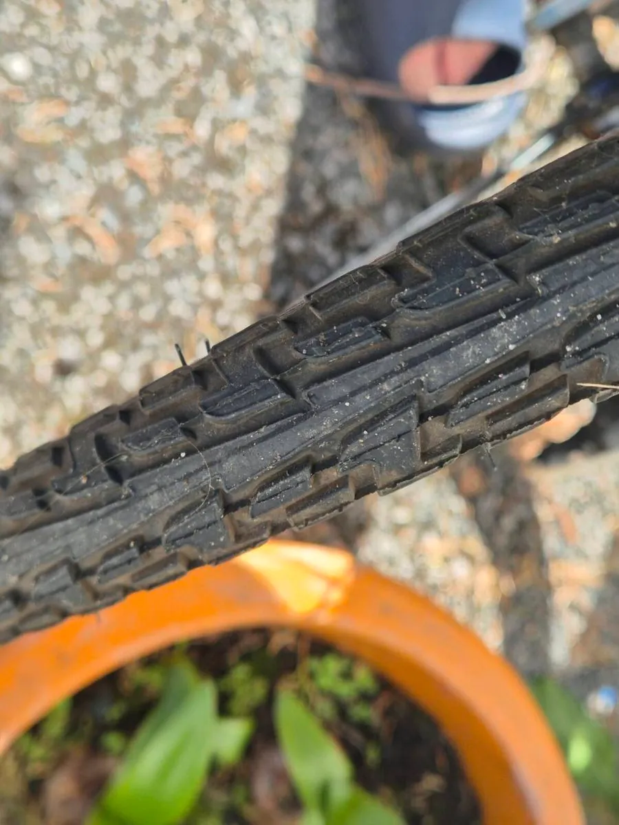 Bike - Image 4