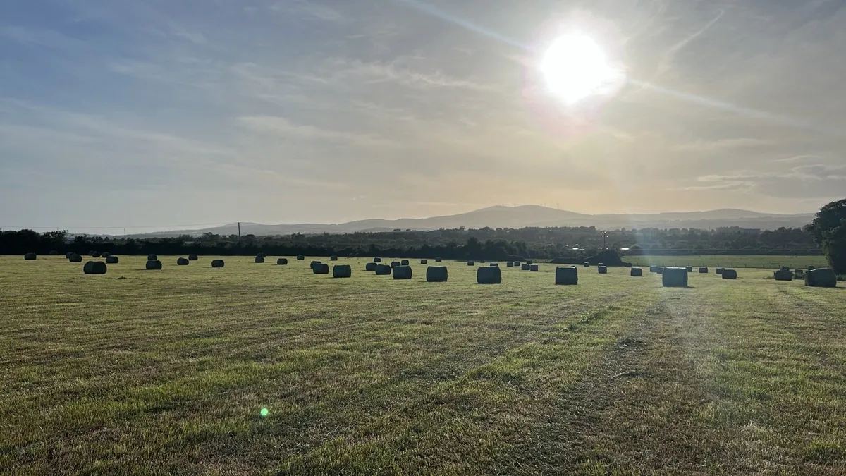 Haylage