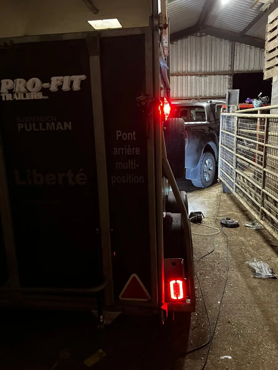 Horse box - Image 2