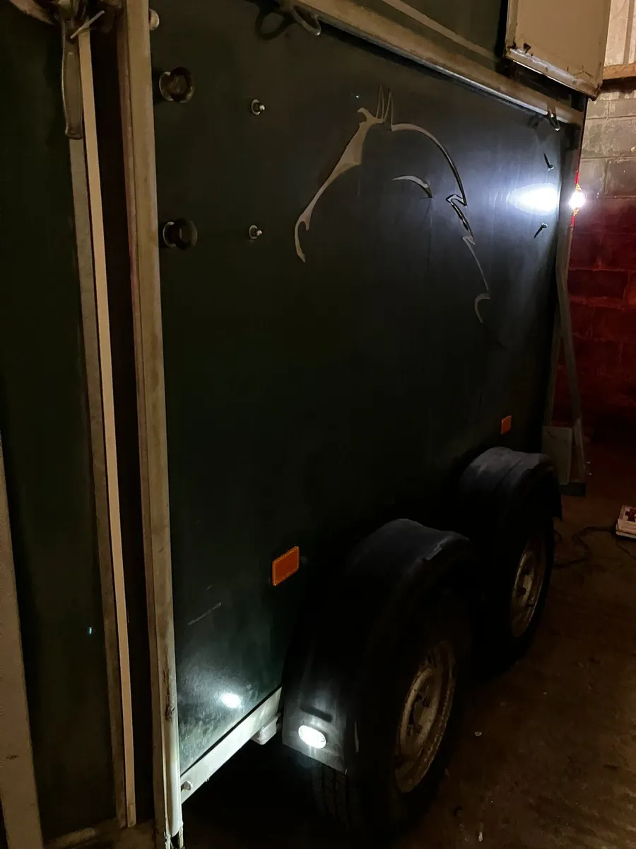 Horse box - Image 3