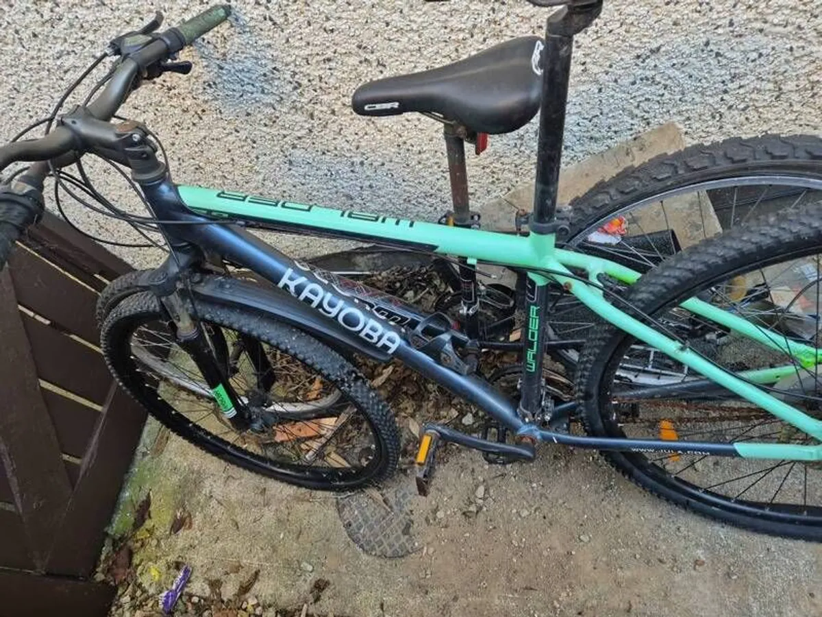old bikes - Image 1