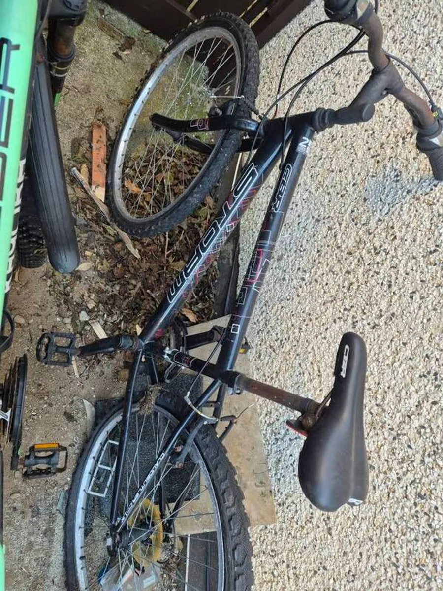 old bikes - Image 2