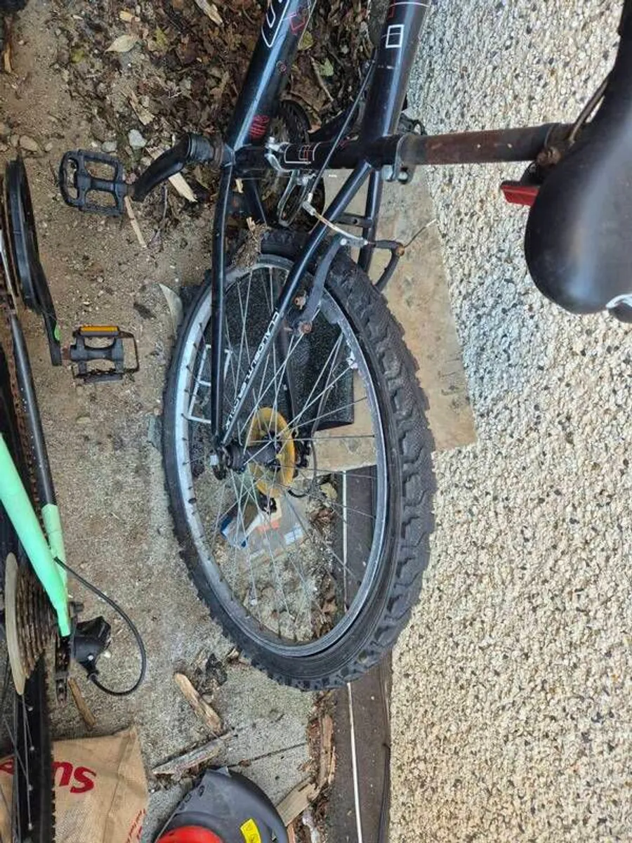 old bikes - Image 4