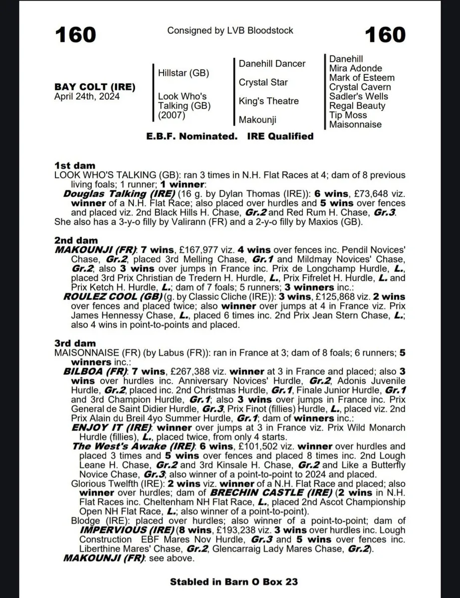 BT Valirann Filly X Kings Theatre Mare - Image 1