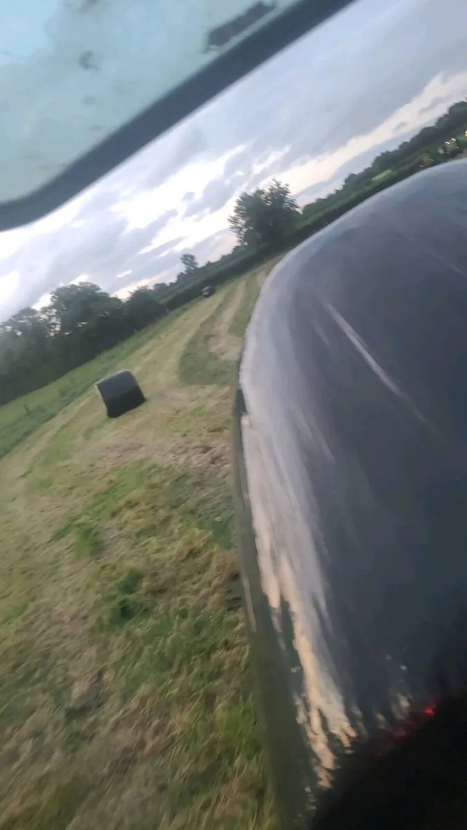 Silage - Image 2