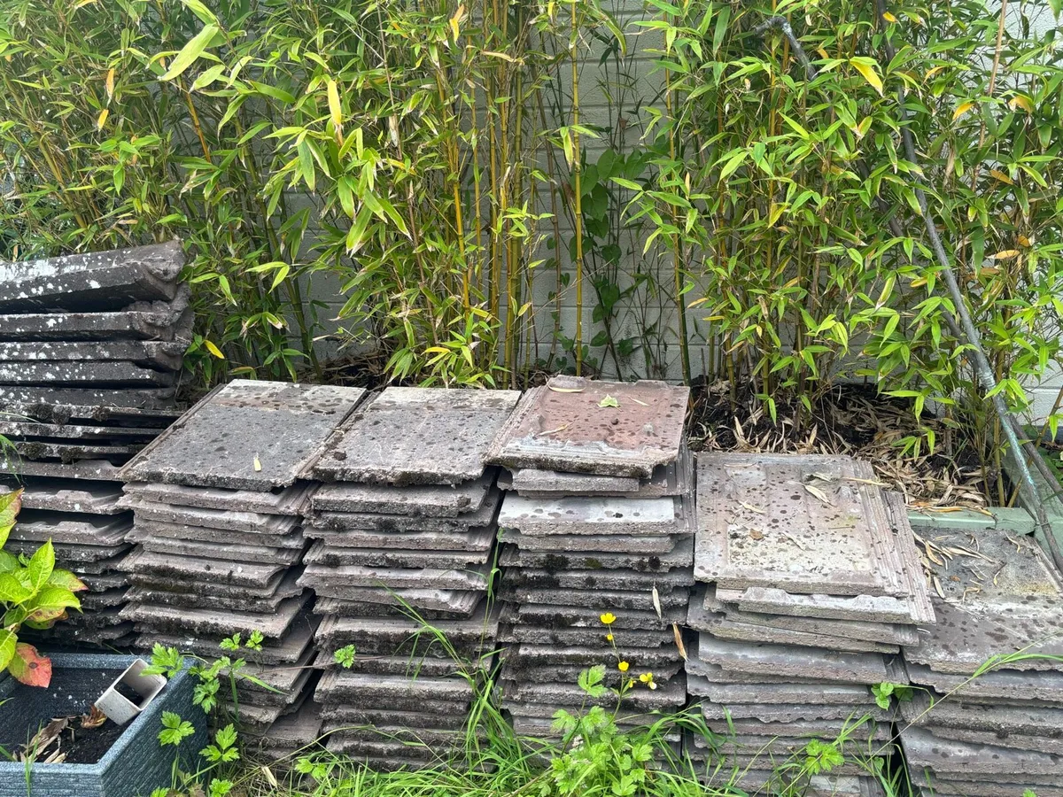 Roof Tiles - Image 3
