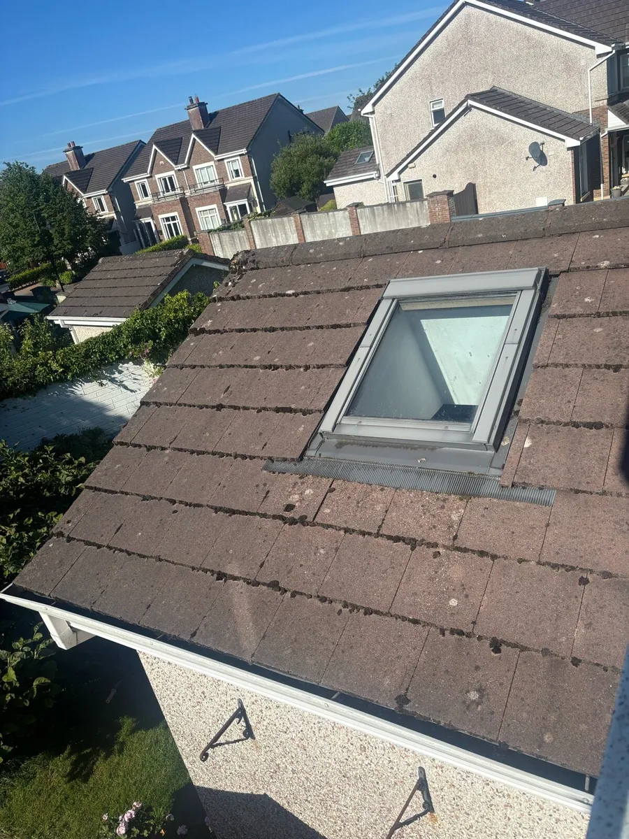 Roof Tiles - Image 1