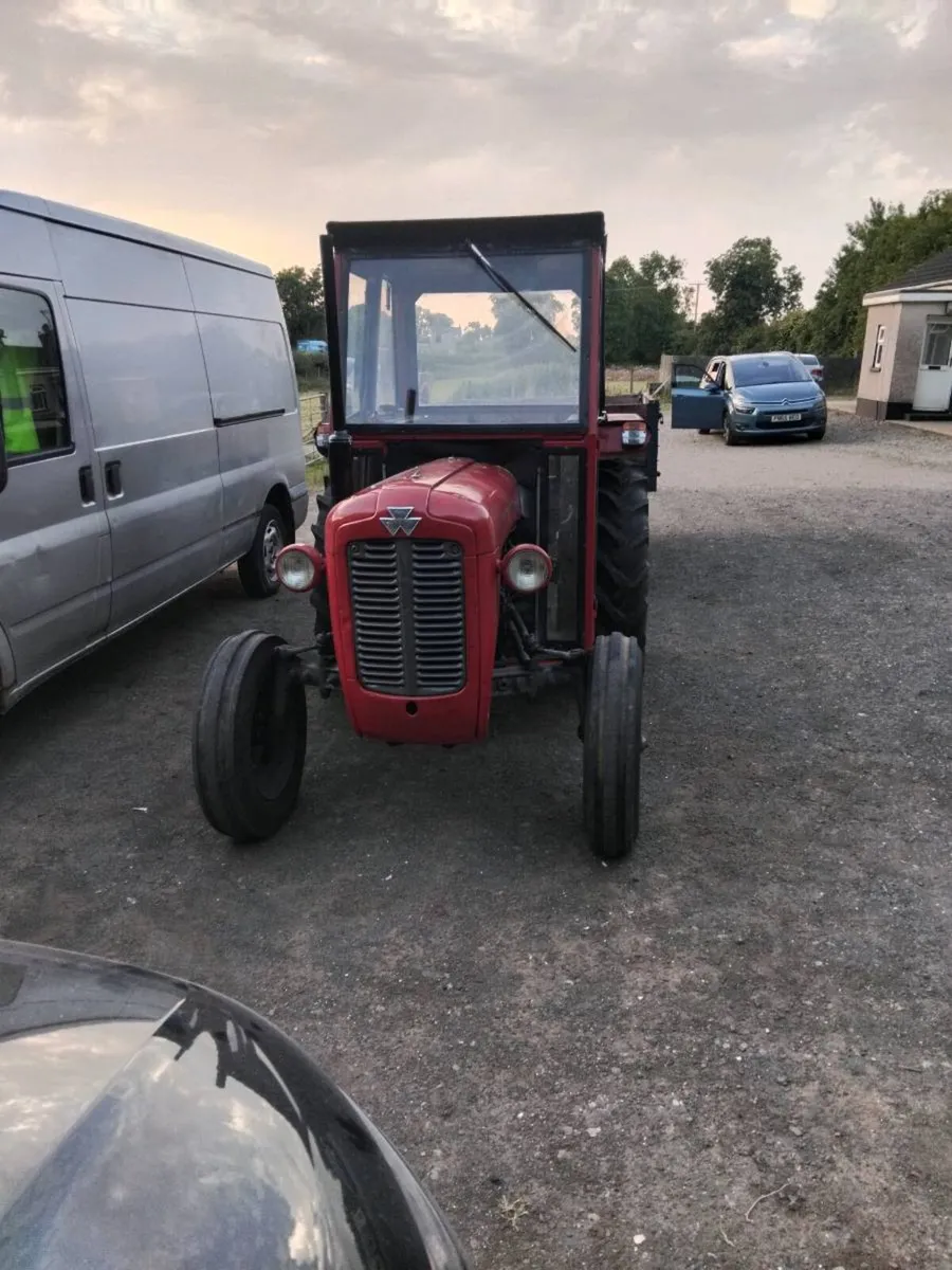 Massey ferguson 35 4cyl +trailer - Image 3