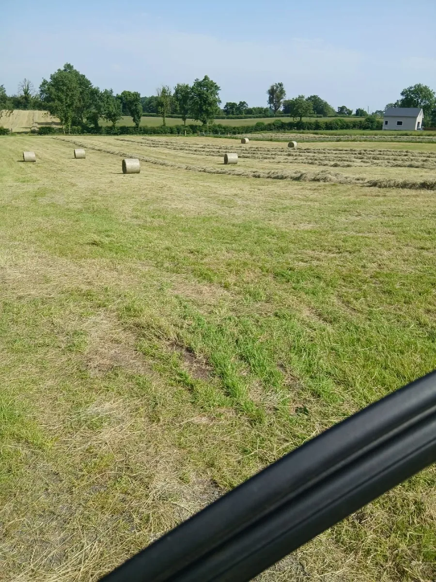 Hay bales - Image 4