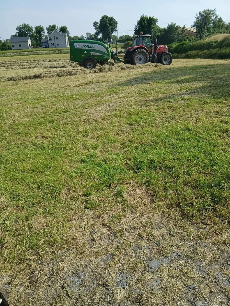 Hay bales - Image 2