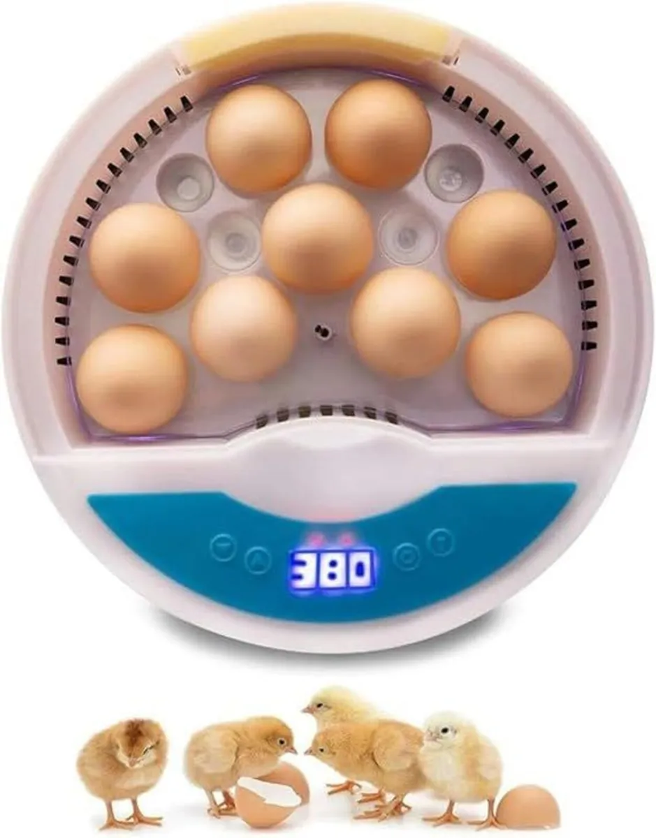 9 Egg  Automatic Incubator with Led Tester - Image 2