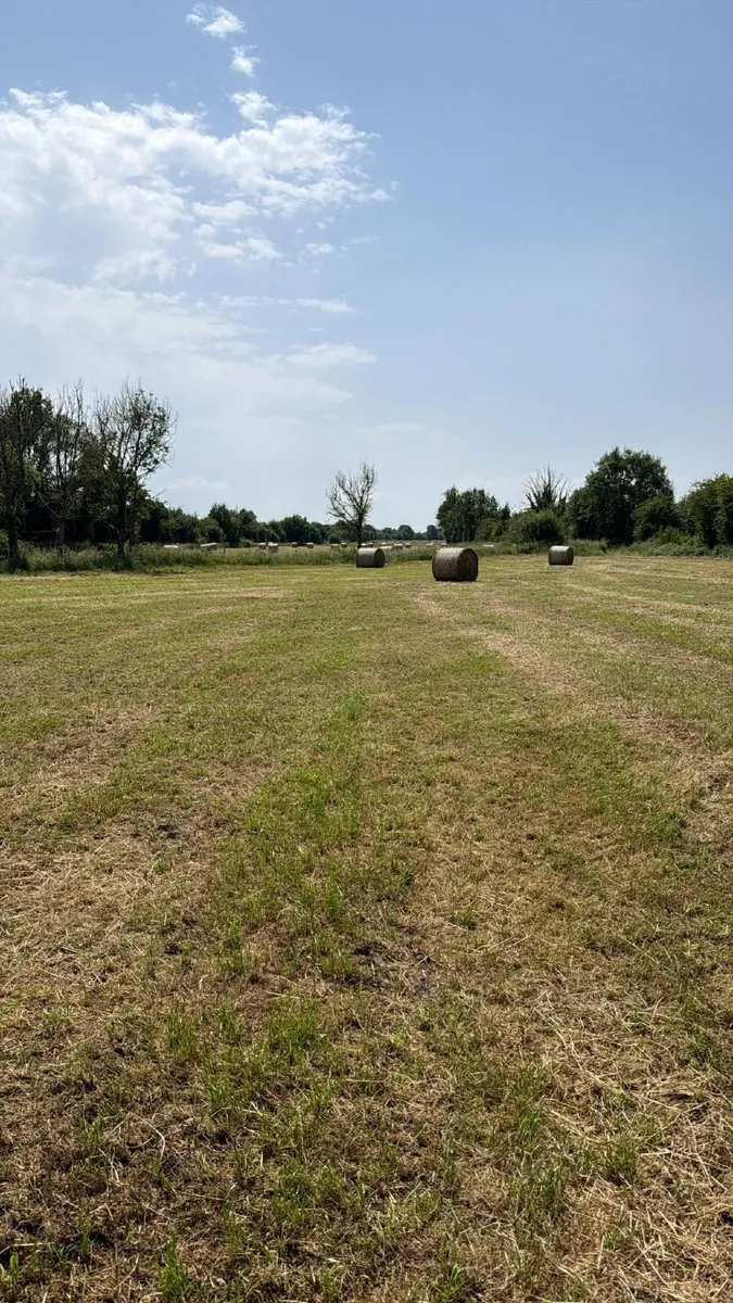 Round Bales Of Hay - Image 2