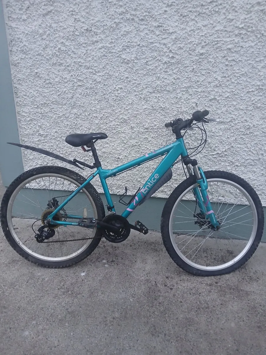 Ladies bicycle - Image 4