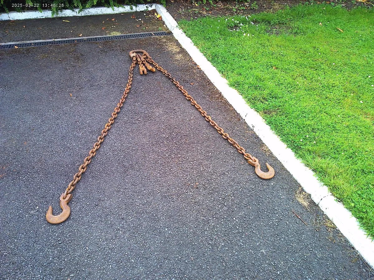 Lifting Chains - Image 1
