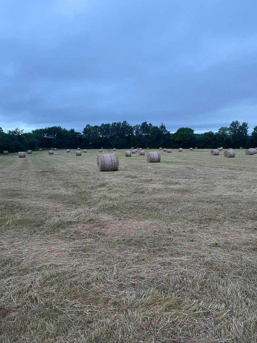 Small square and Round hay - Image 2