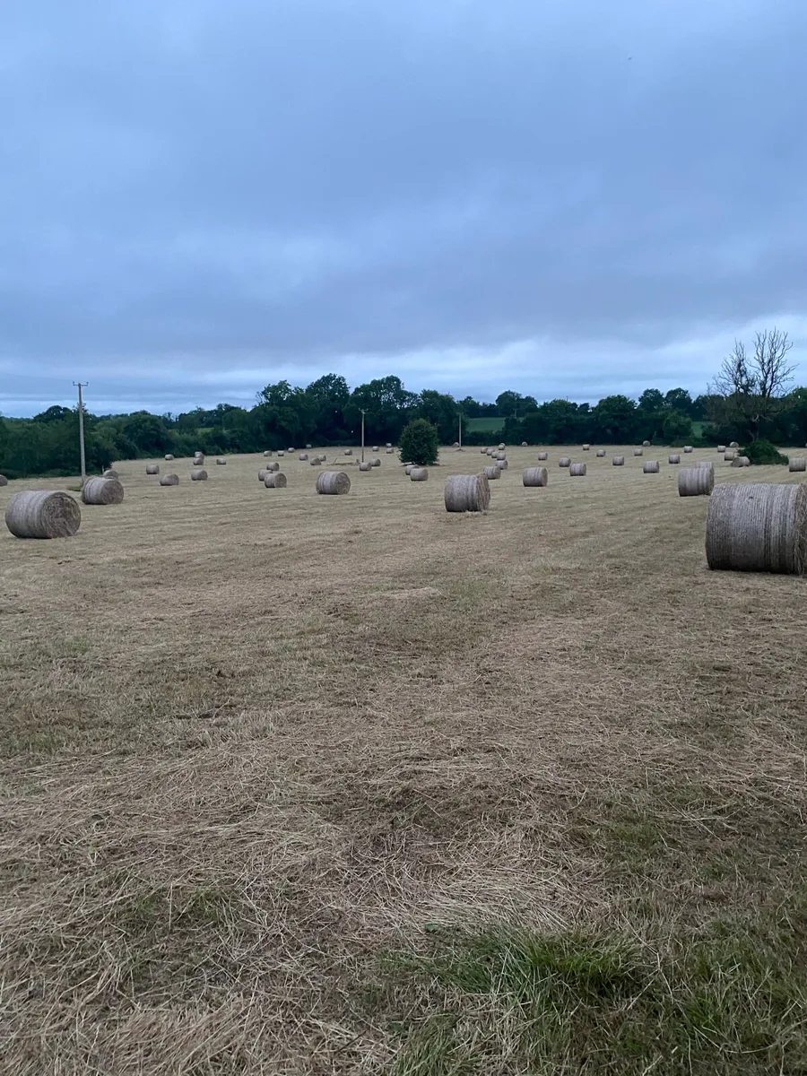 Small square and Round hay - Image 3
