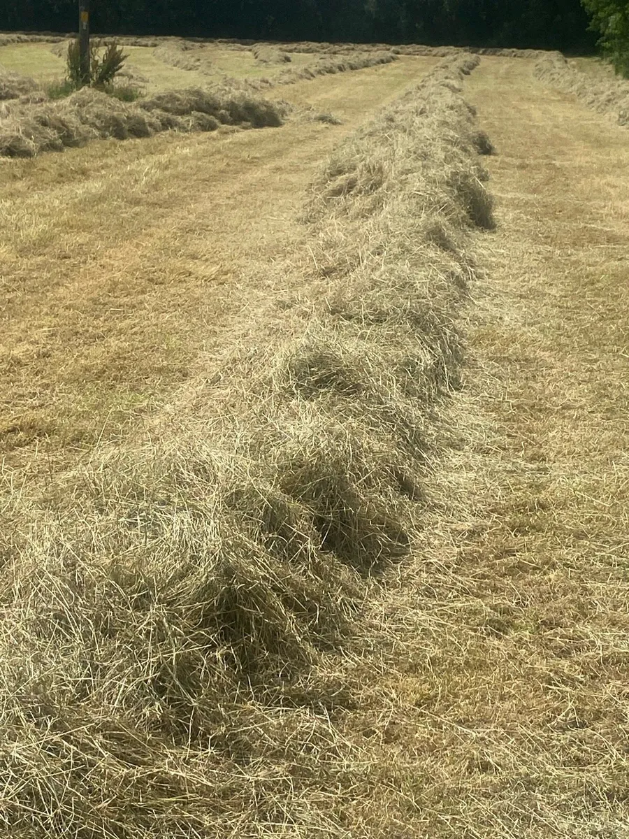 Small square and Round hay - Image 4