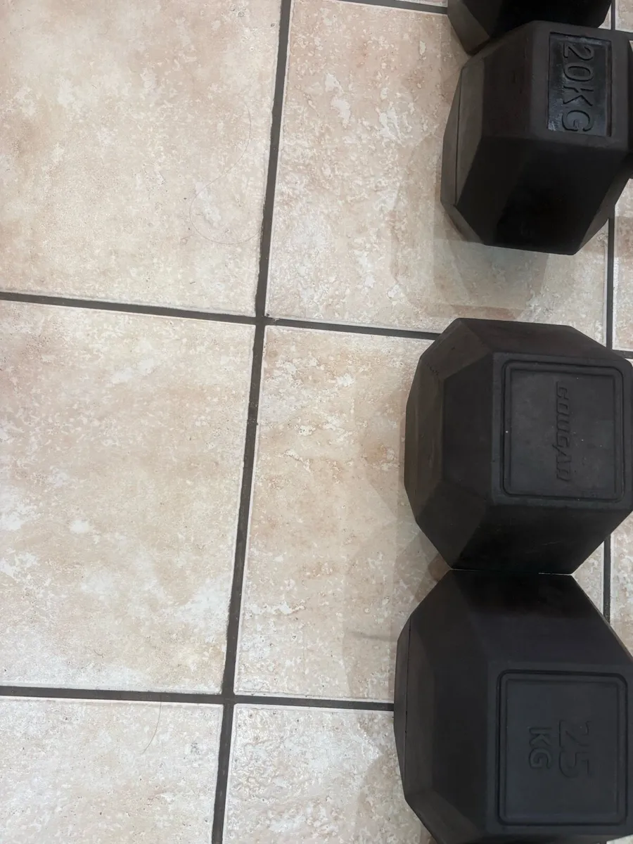 QUALITY DUMBBELL COLLECTION - CHEAP!! - Image 2