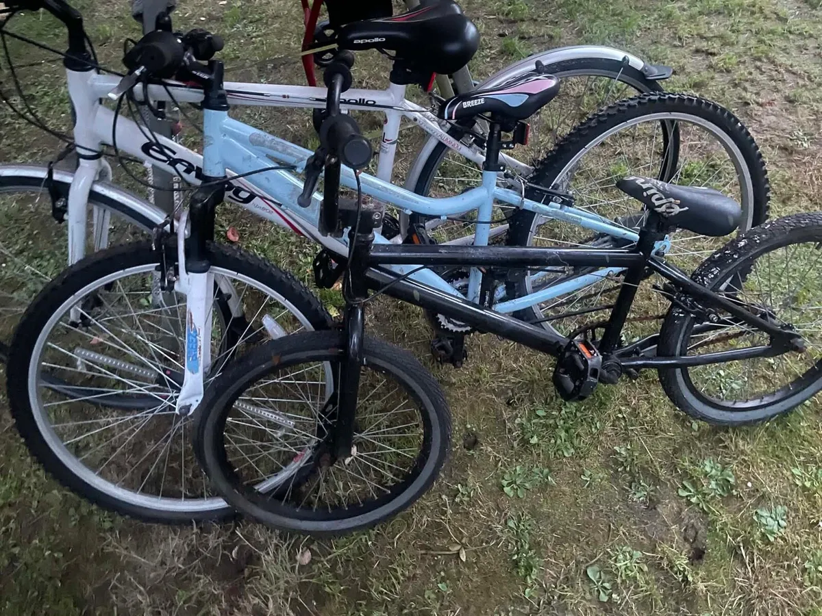 3 cycling bikes - Image 2