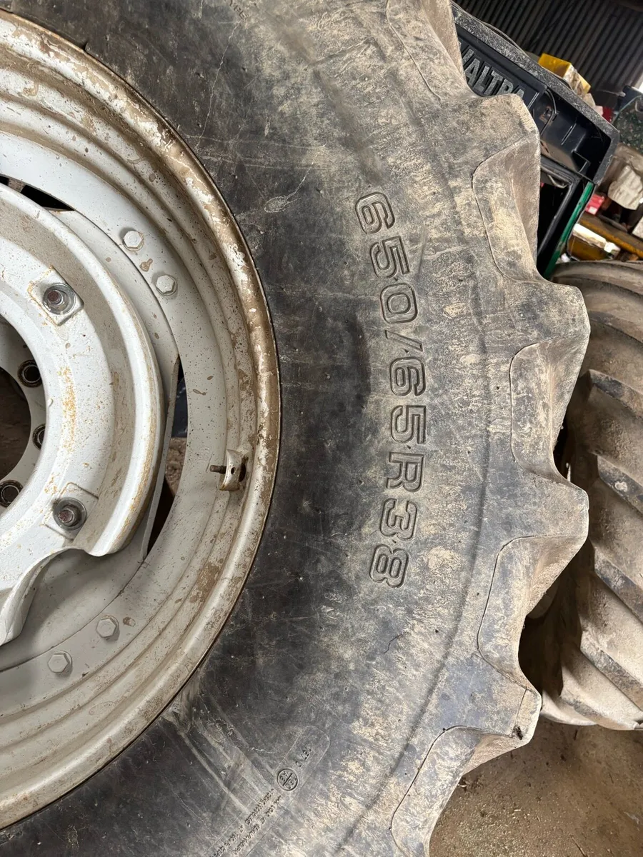 Tyre - Image 4