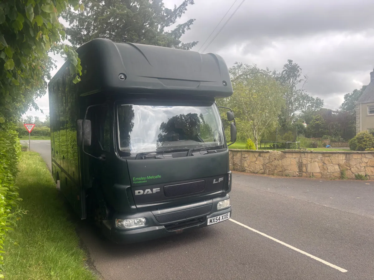 Daf lf horse lorry - Image 3