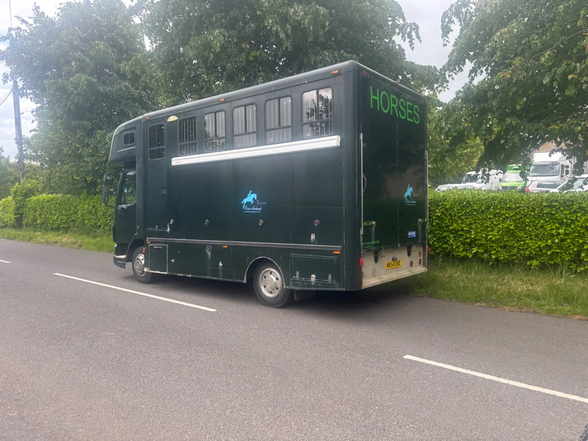 Daf lf horse lorry - Image 4