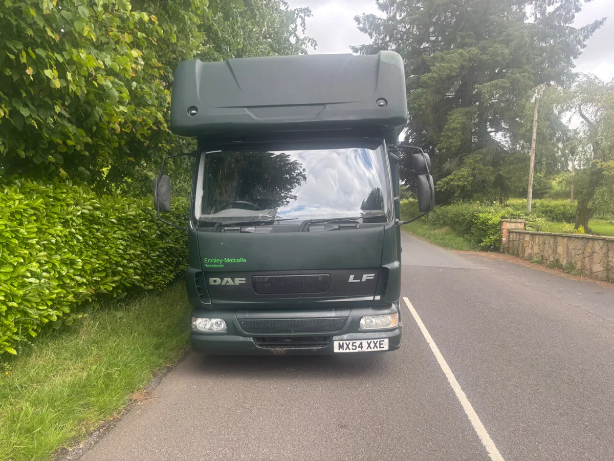 Daf lf horse lorry - Image 2