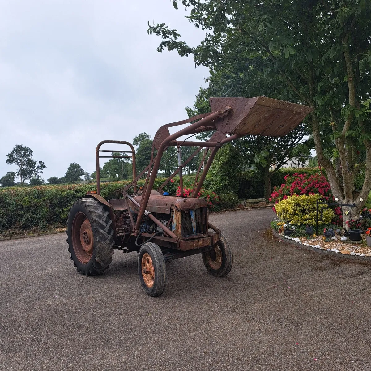 Fordson Major 1955 with Loader - Image 2