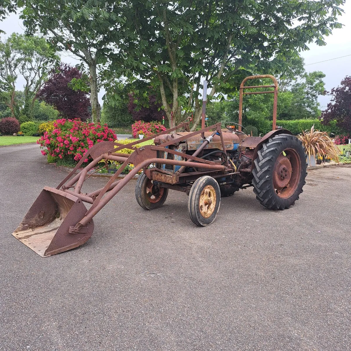 Fordson Major 1955 with Loader - Image 1