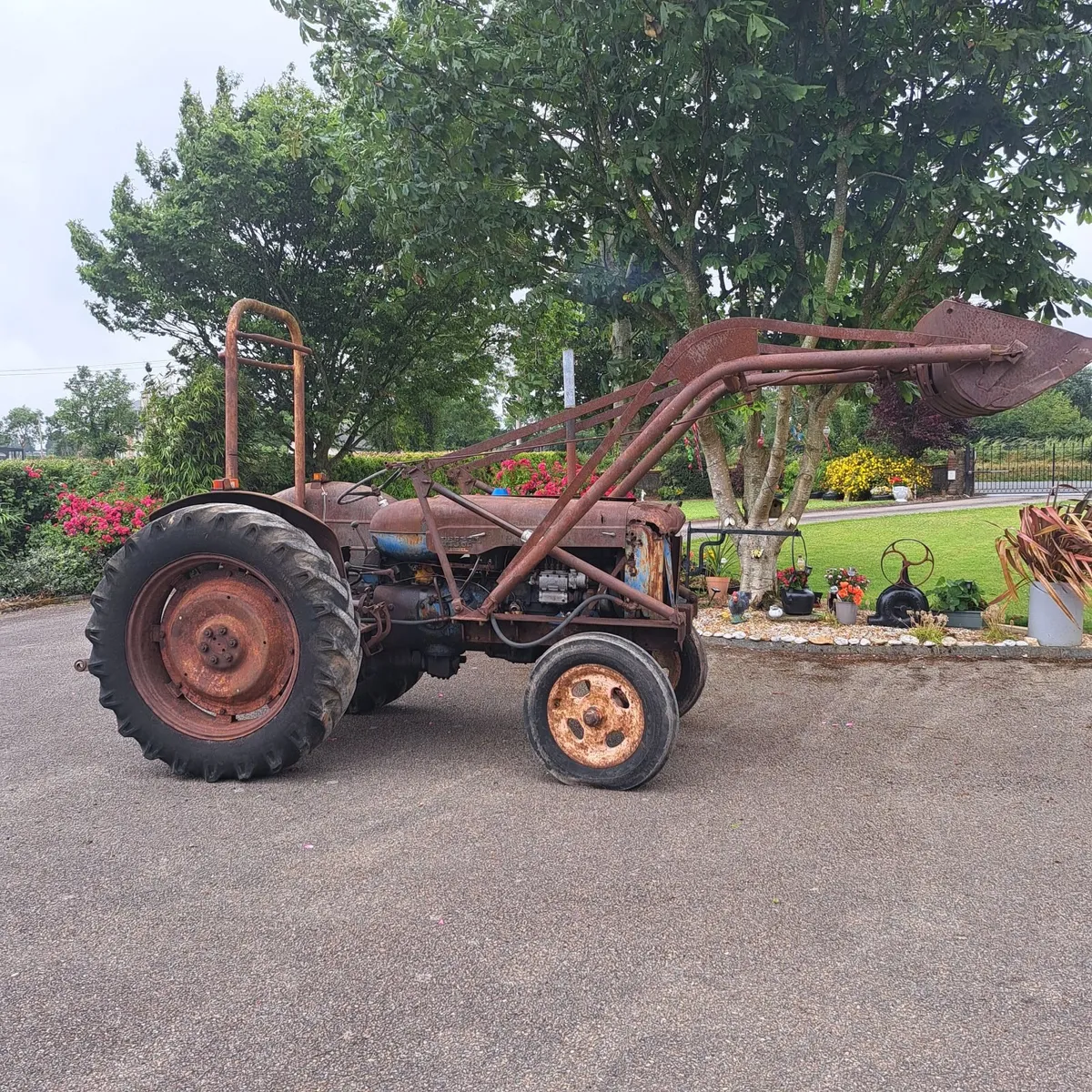 Fordson Major 1955 with Loader - Image 3
