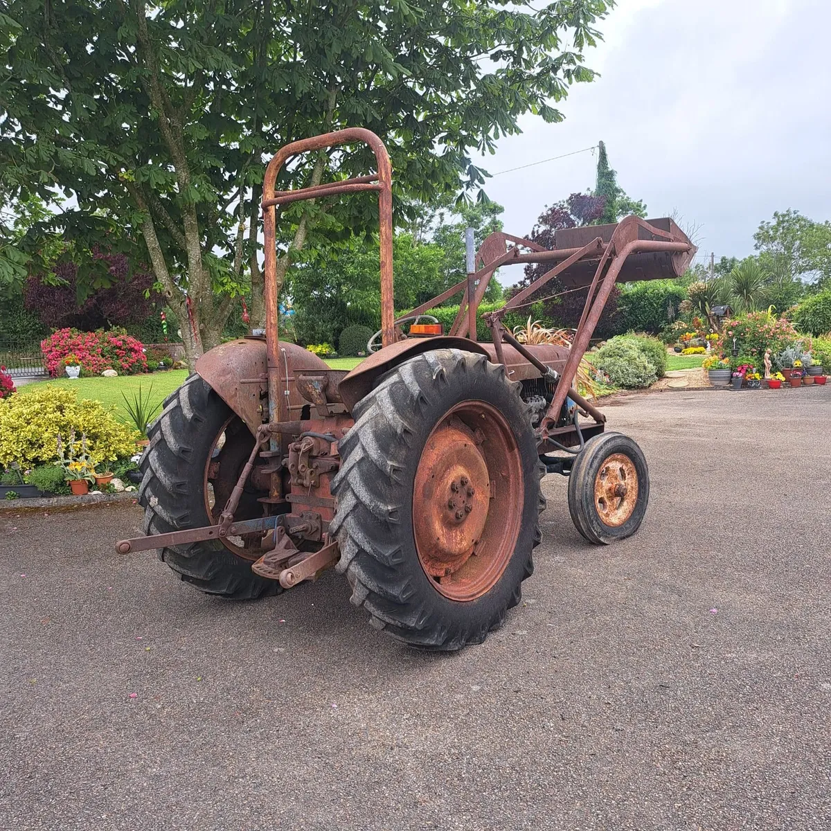 Fordson Major 1955 with Loader - Image 4