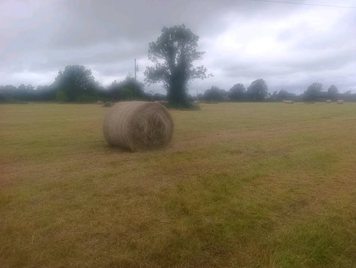 Hay bales - Image 4
