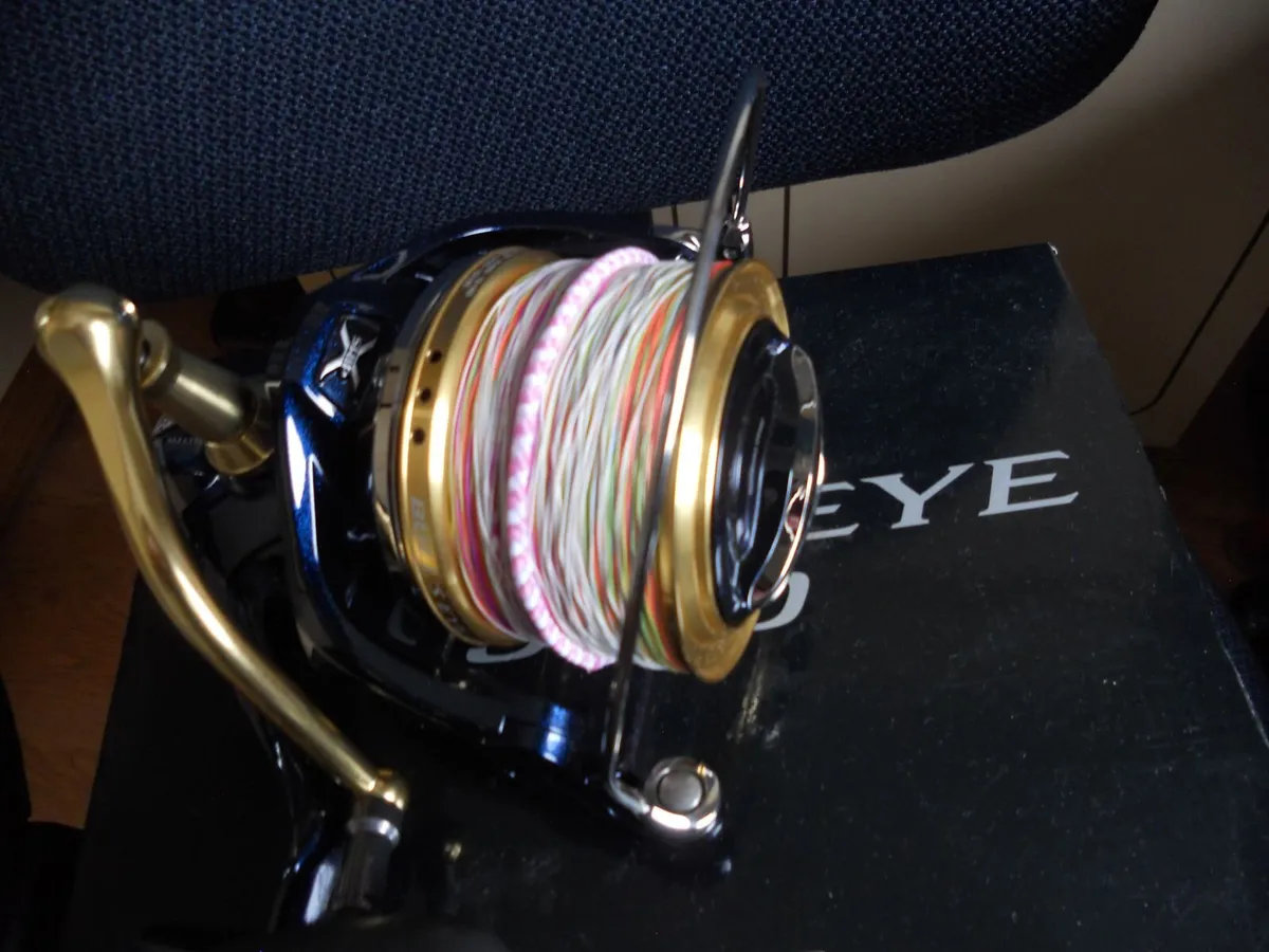 reel - Image 2
