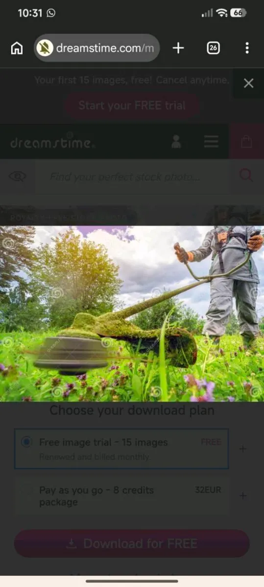 DH Garden Maintenance - Image 3