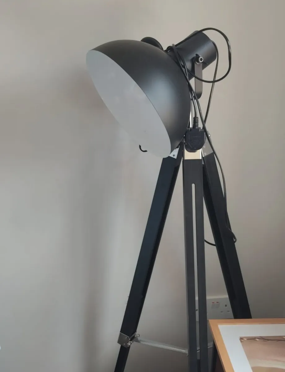 Dehumidifier, Lamp and Shelving Unit - Image 1