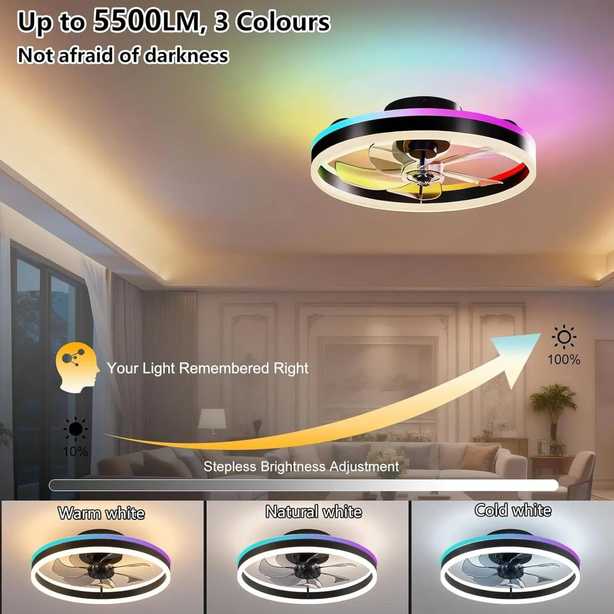 Rgbcw Ceiling Fan with Lights 50CM Modern Smart - Image 4